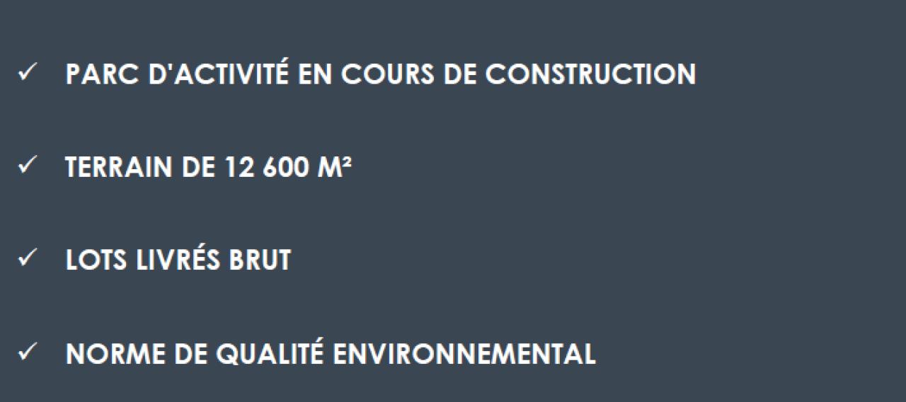Local d'activité Vénissieux 272m² Location local d'activité Vénissieux Rhône OLACT2419750 9